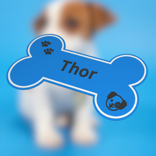 Dog bone with text